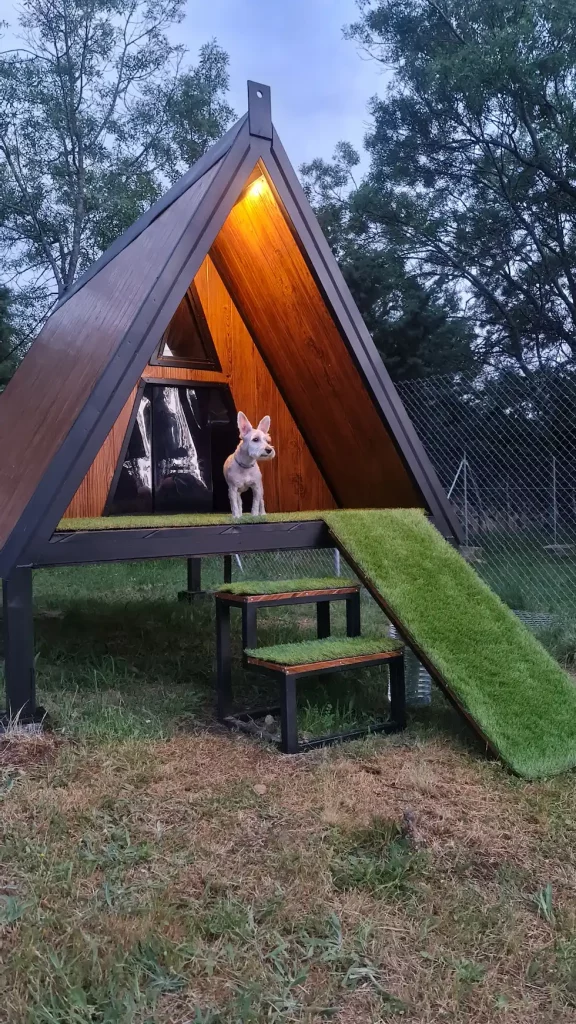 campamento canino